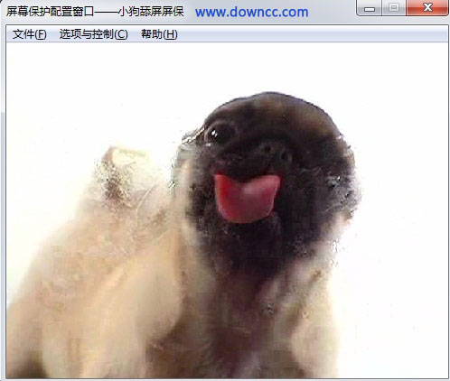 狗狗舔屏動態(tài)屏保 v1.4 綠色版 0