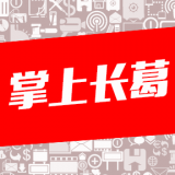 掌上長(zhǎng)葛