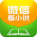 微信看小說手機版