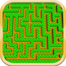 迷宮游戲行走專家