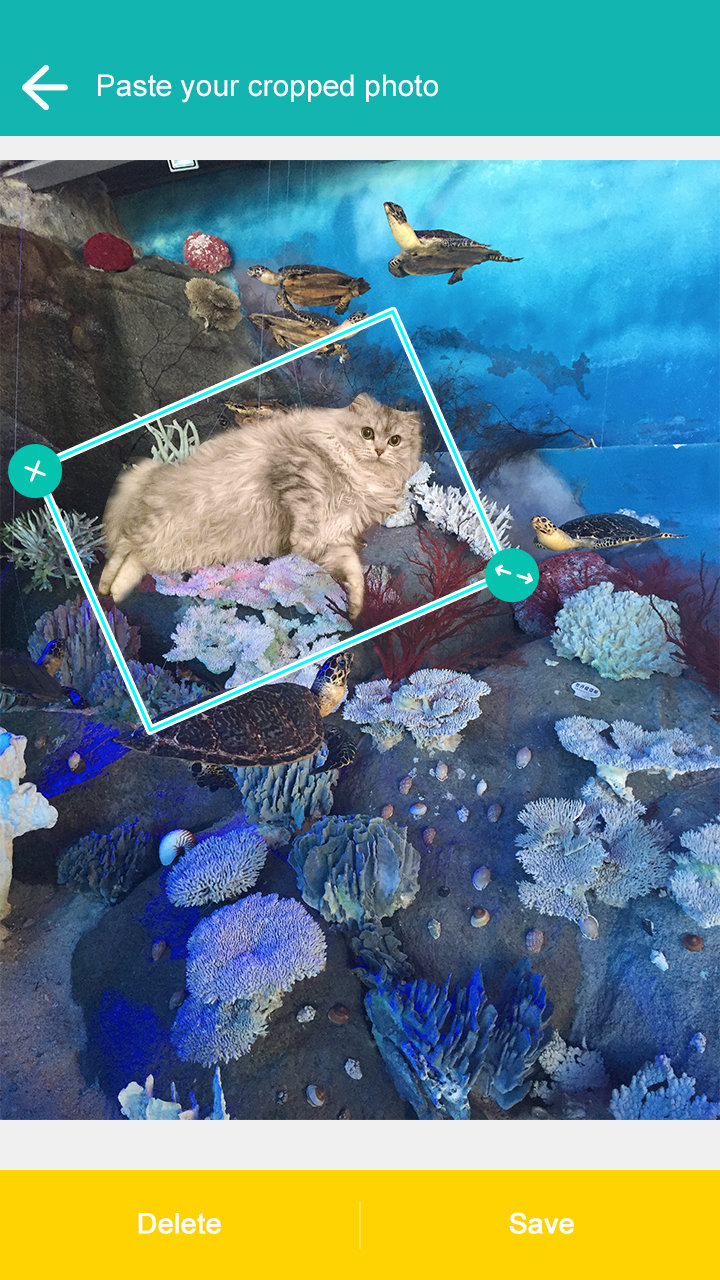 摳圖神器-飛力貓(Cut Me Out) v3.3 安卓版 2