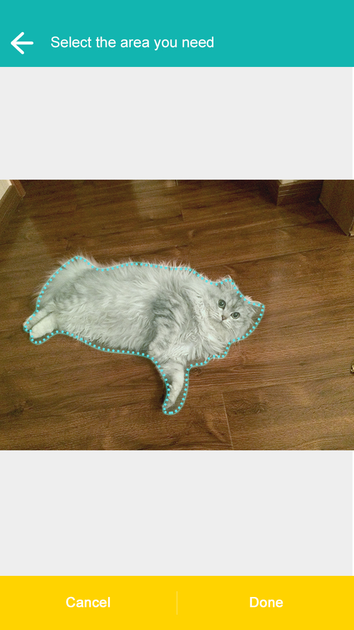 摳圖神器-飛力貓(Cut Me Out) v3.3 安卓版 1