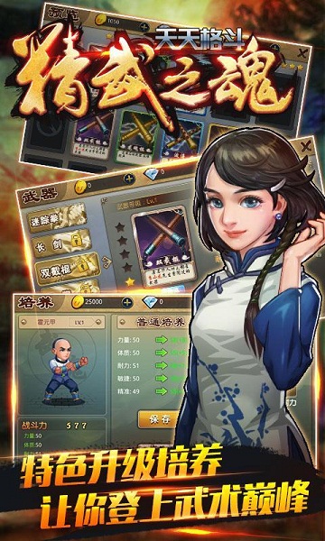 天天格斗精武之魂內(nèi)購