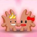 王子公主回家记无敌版