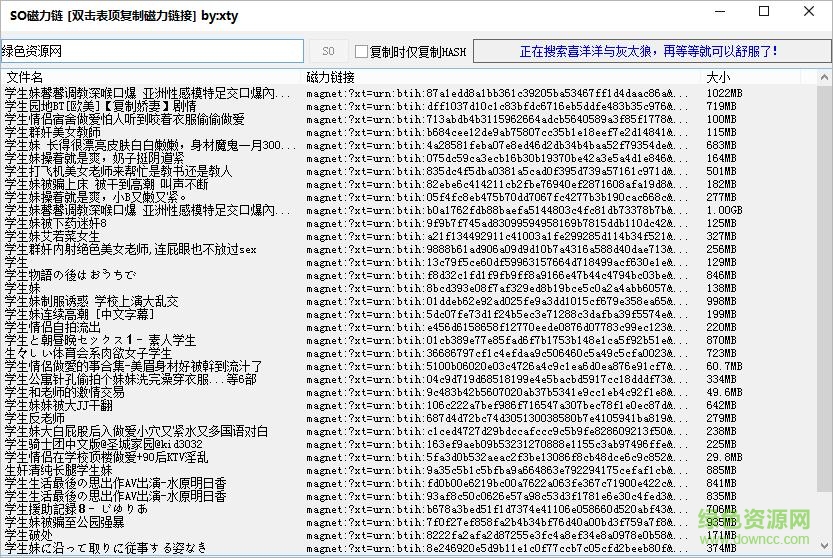 SO磁力鏈(磁力鏈搜索工具) v1.0 綠色版 0