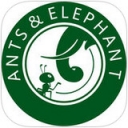 螞蟻大象網(wǎng)絡(luò)傳媒