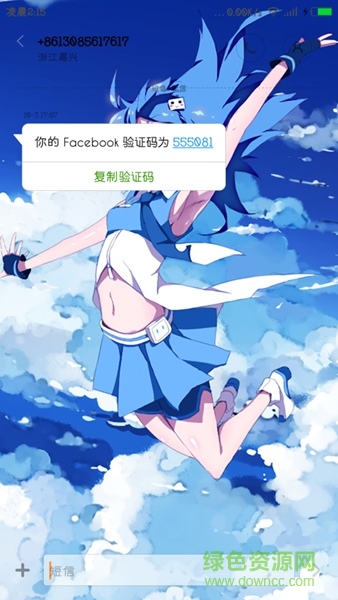 2233娘MIUI主題 v1.0 安卓版 1