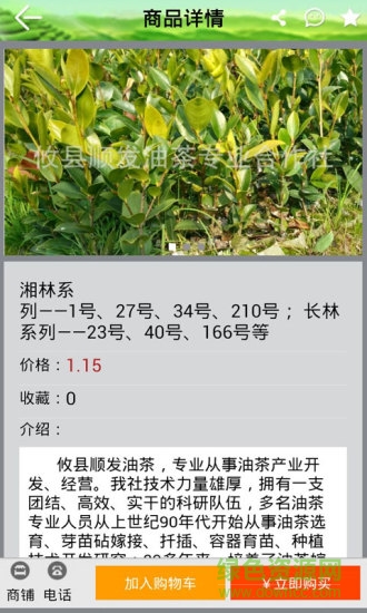 山茶油 v1.0 安卓版 2