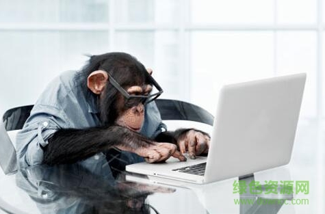 微信猴語翻譯(卡納達(dá)語) v3.0.15 安卓版 1