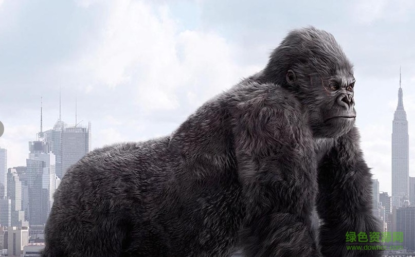 yeti毛發(fā)插件