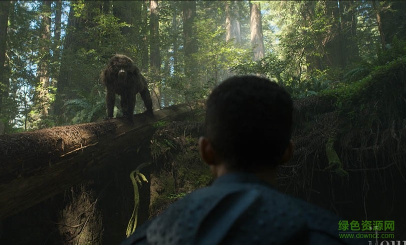 yeti毛發(fā)插件