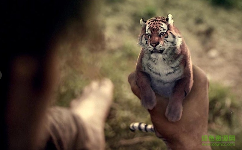 yeti毛發(fā)插件