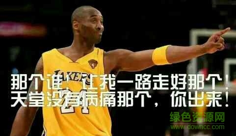 科比退役表情包