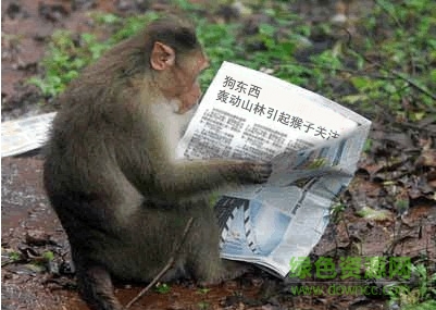 今日要聞裝逼圖片生成器(森林版) 2016最新版 0