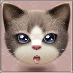 懶貓轉發(fā)(一鍵轉發(fā)小視頻)