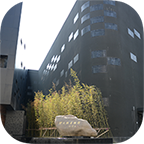 曬墨寶(上海博物館導覽)