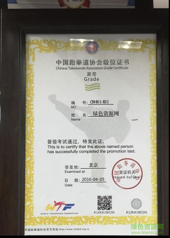 跆拳道黑帶證書圖片生成器  0