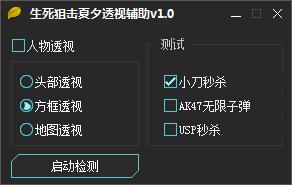 生死狙擊夏夕透視輔助 v1.0 綠色版 0