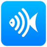 廈門百魚app