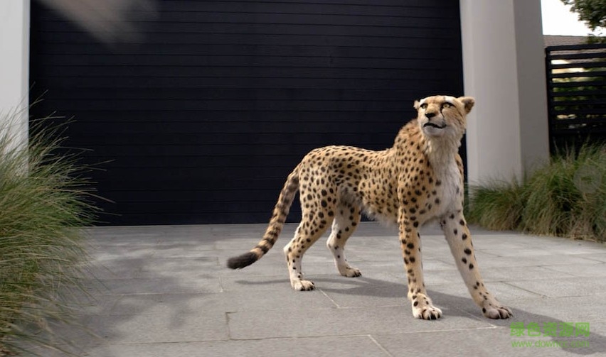 maya毛發(fā)插件(Peregrine Labs Yeti) v1.3.5 官方最新版 0