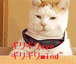 ギリギリeye ギリギリmind表情åŒ
