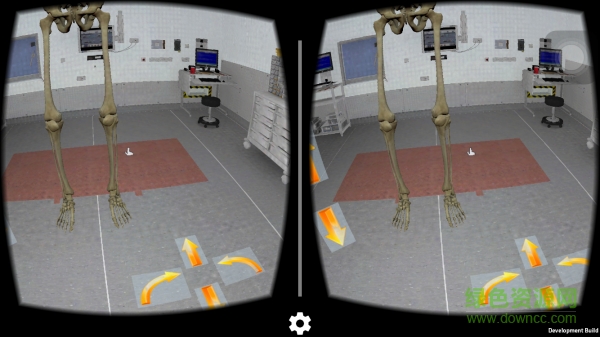 anatomy vr lab app