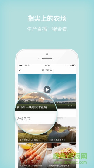 小豬農(nóng)場(chǎng) v2.0.1 安卓版 4