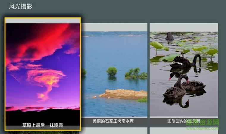 攝影聚集tv版(音樂照片) v1.6 安卓電視版 3