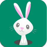 暴打小兔(打地鼠游戲)