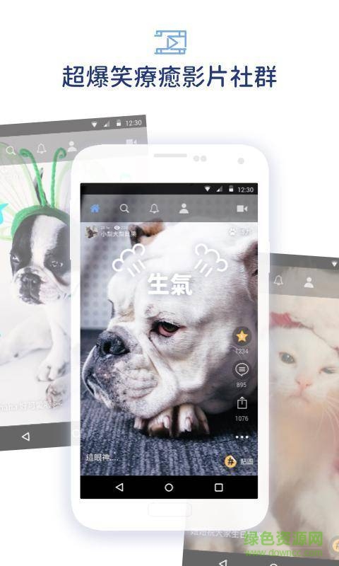 寵拍(Pamily) v1.1.0  安卓版 2