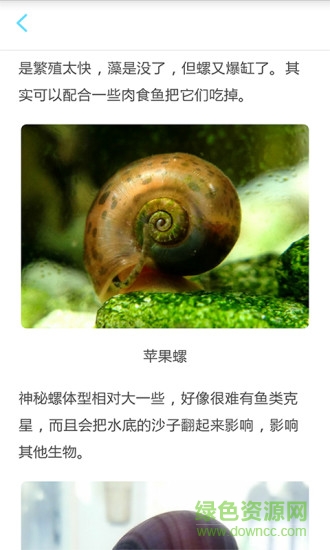 養(yǎng)魚達(dá)人(養(yǎng)魚知識(shí)) v1.0 安卓版 3