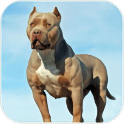比特犬模擬器游戲(Pitbull Dog Simulator)