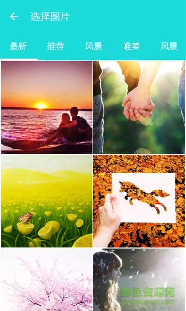 九鳥俠(圖片處理) v1.0 安卓版 2