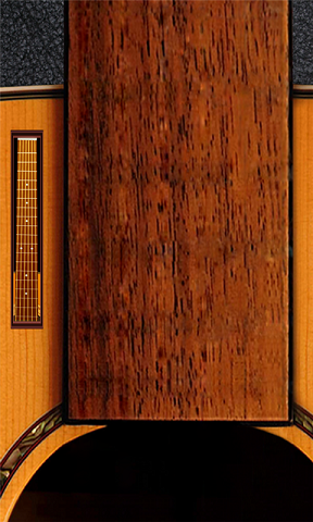 手心吉他(模擬吉他) v1.2 安卓版 0