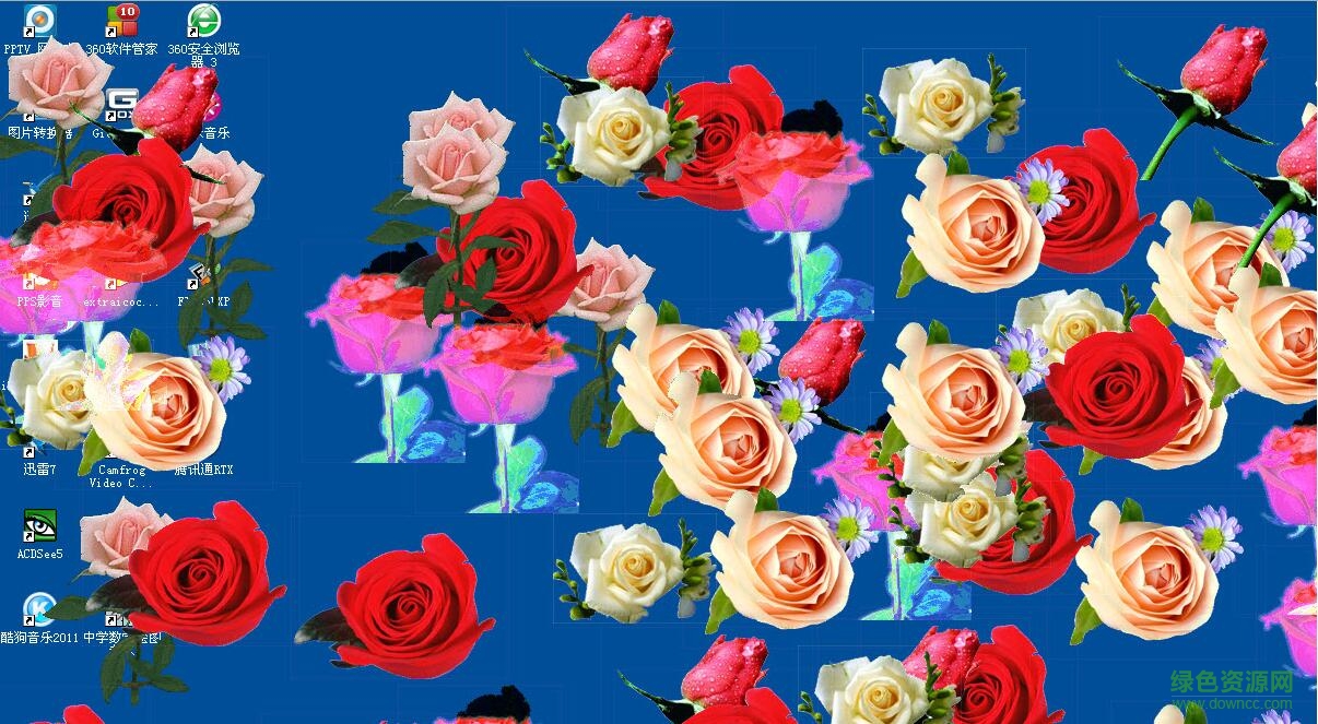 999朵玫瑰花軟件(屏幕開(kāi)滿玫瑰花) v1.0 綠色版 0