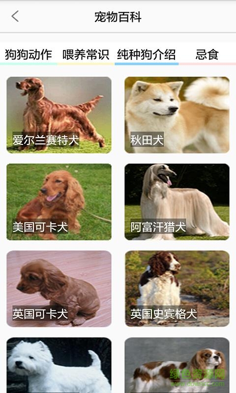 寵e行app(養(yǎng)狗助手) v1.0 安卓版 3