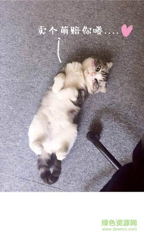 至尊萌寵表情包  0