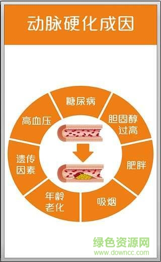 血管大師 v1.5.0.1 安卓版 0