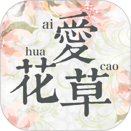 愛花草多肉植物