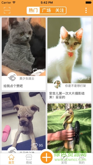 人人寵(寵物社區(qū)) v3.16.1 安卓版 3