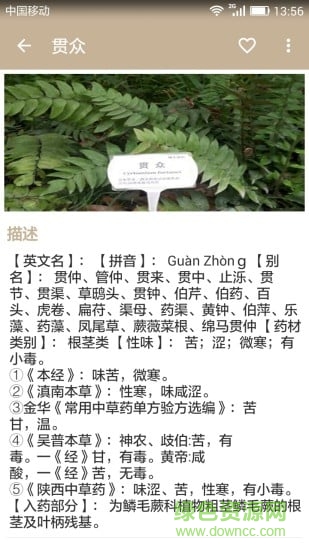 中草藥寶典 v1.1 安卓版 2