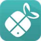 鯨魚購物平臺(tái)(鯨小商)