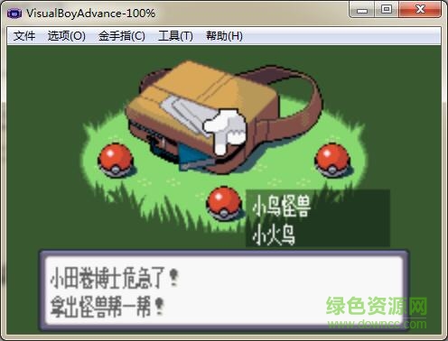 口袋妖怪茜羅娜傳記