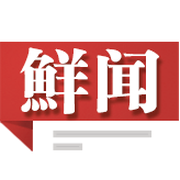 鮮聞iPhone手機(jī)版(新聞閱讀)