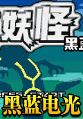 口袋妖怪黑藍(lán)電光