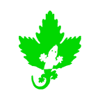 爬山虎tv客戶(hù)端apk