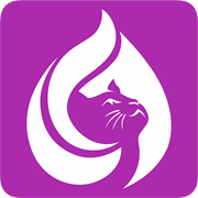 俏皮猫(美容电商服务)