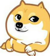 浪奇免流vip修改版