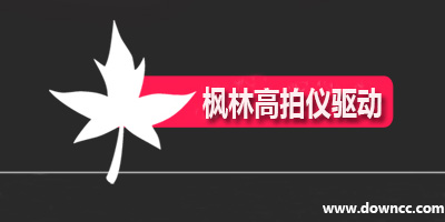 楓林高拍儀驅(qū)動(dòng)-楓林驅(qū)動(dòng)下載-楓林精拍儀驅(qū)動(dòng)