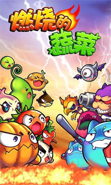 燃燒的蔬菜新年版 燃燒的蔬菜新春